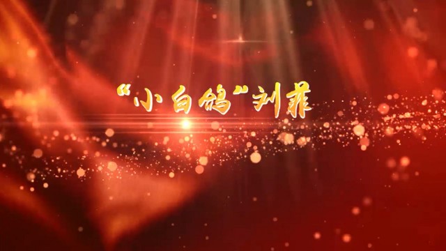 年度网络人物刘菲