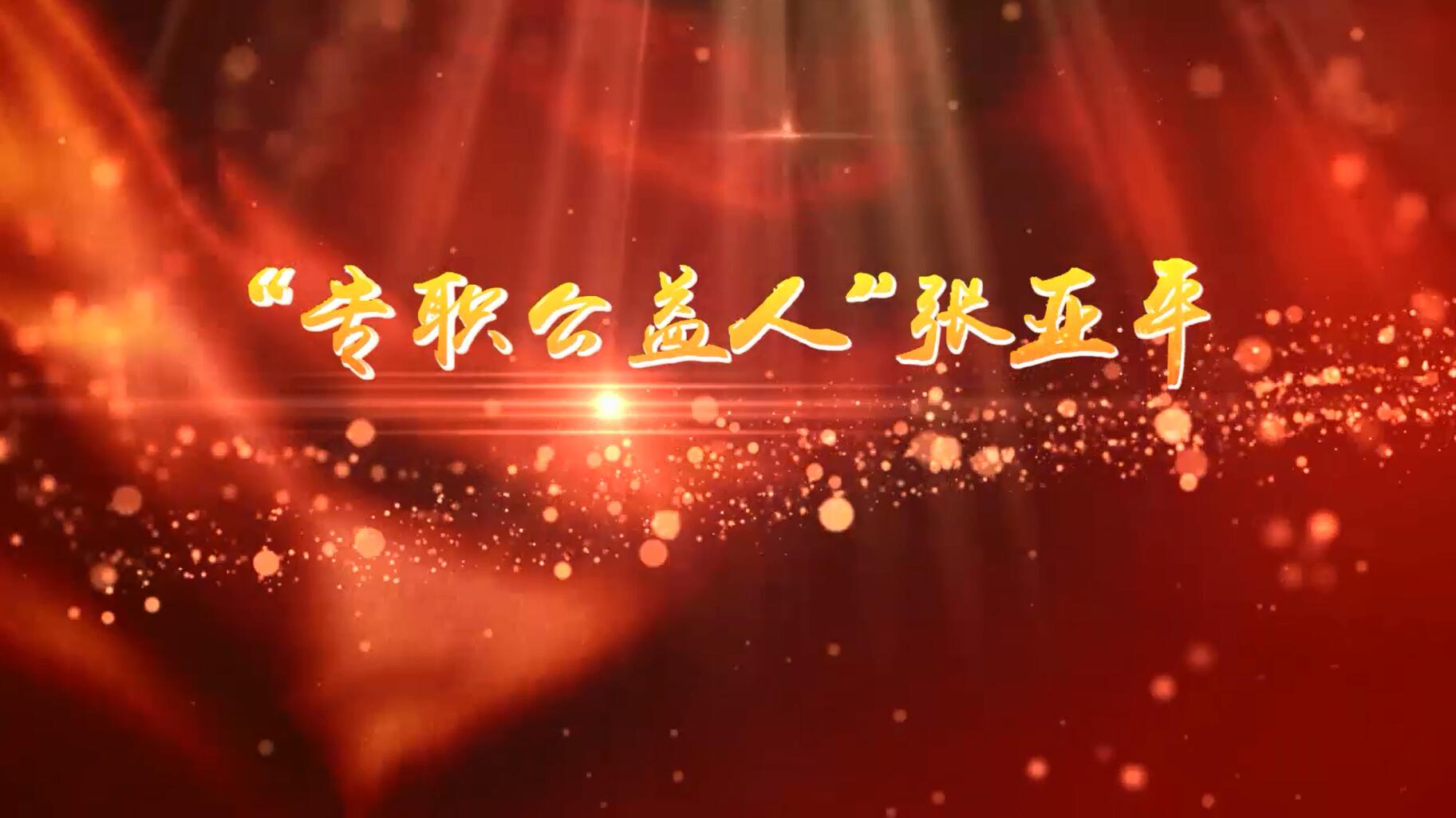 年度网络人物张亚平
