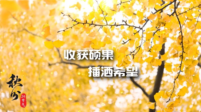 秋分｜收獲碩果 播灑希望