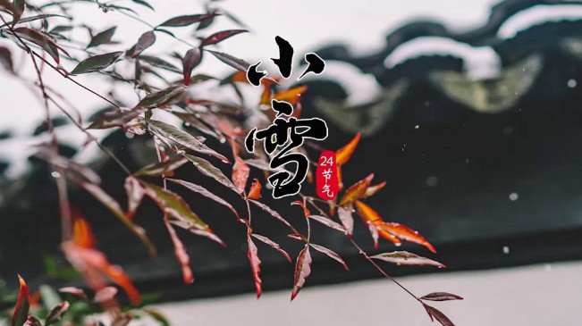 小雪|願有人陪你度寒霜