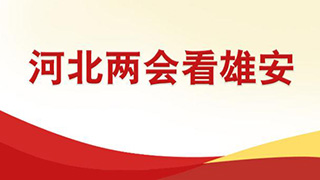 图说丨扎实推进雄安新区规划建设