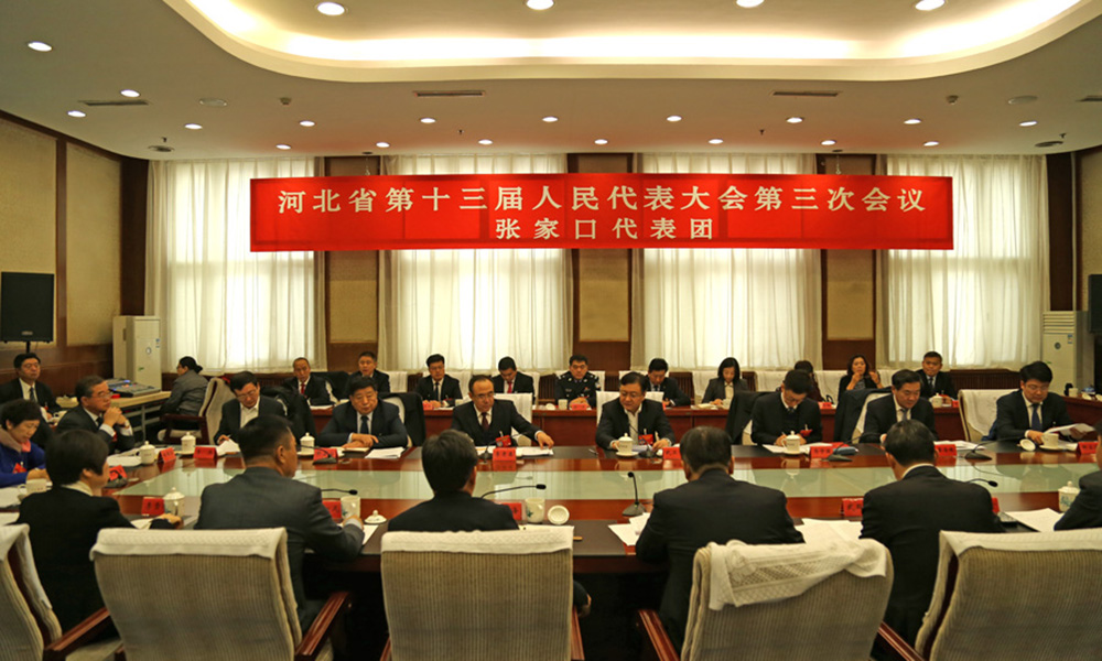 张家口代表团在审议政府工作报告
