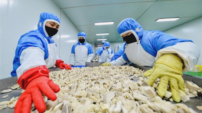 河北肥鄉:扶貧産業復工復産促增收