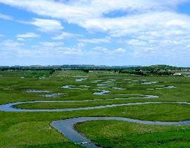 闪电河国家湿地公园