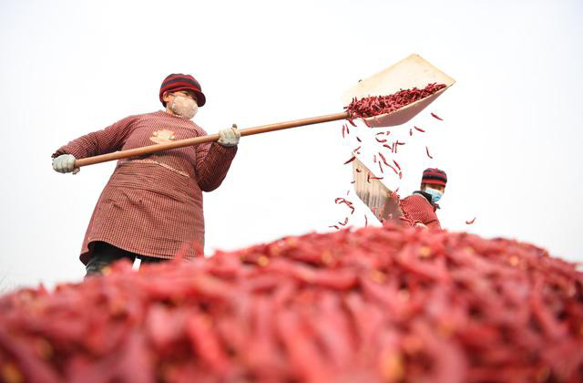 提升建设水平 推介好三张文化名片