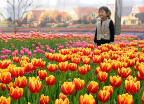 花香喜迎春