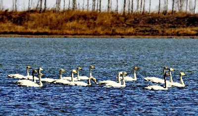 新华网河北频道