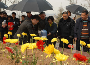节地公益花坛葬：让逝去的亲人与鲜花常伴