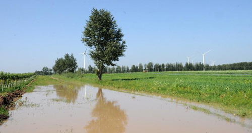暴雨致河北张家口6县受灾