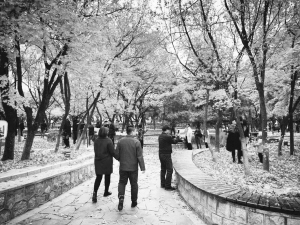 首个免票双休日 北戴河景区人气爆棚