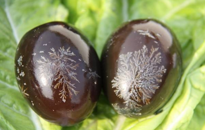 系列广播剧《白洋淀故事》:诗词咏叹北西湖