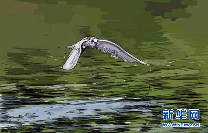 系列广播剧《白洋淀故事》:世外桃源采蒲台