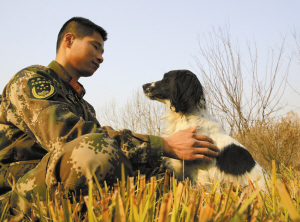 石家庄消防支队搜救犬海豹攀登障碍赛获大奖
