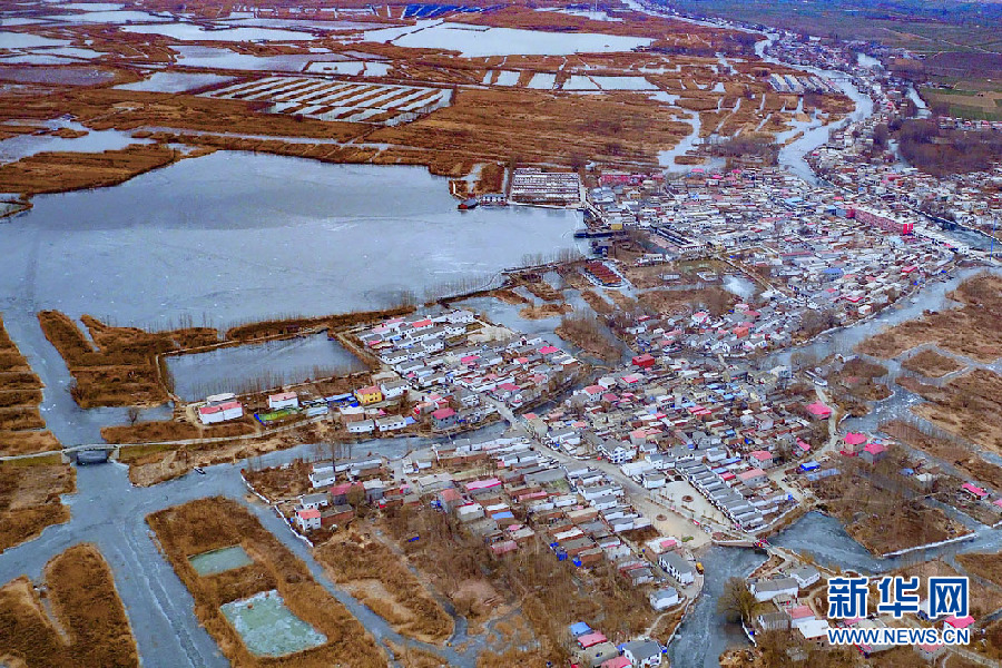 【希望的田野·驻村日记】荷塘深处东淀头:浓