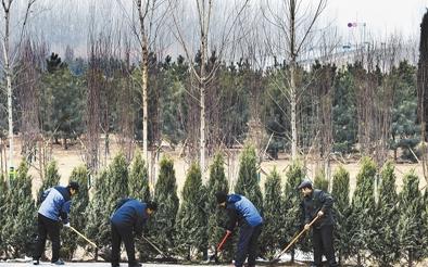 雄安新区迎来首个新春佳节 蓝绿交织绘底色