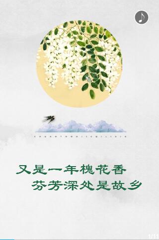 又是一年槐花香 芬芳深处是故乡