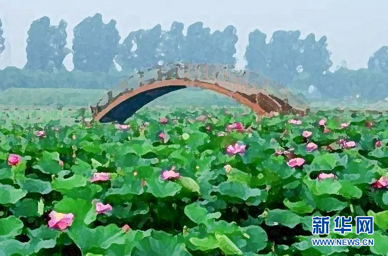 系列广播剧第75期:元妃荷园,白洋淀里的浪漫与