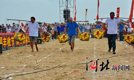 高粱红了!衡水阜城县举办首届农民丰收节