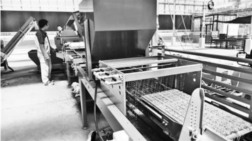 鹿泉区中以农科小镇:神奇的智能农业工厂