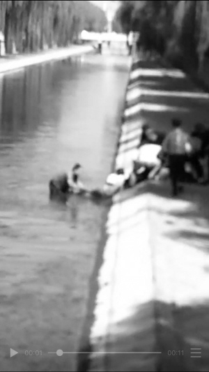 石家庄一对男女失足落水 11秒视频记录惊心动