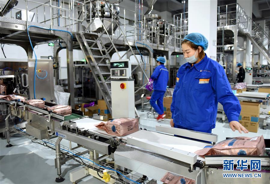 （经济）（1）河北南和：打造“宠物食品”产业之都
