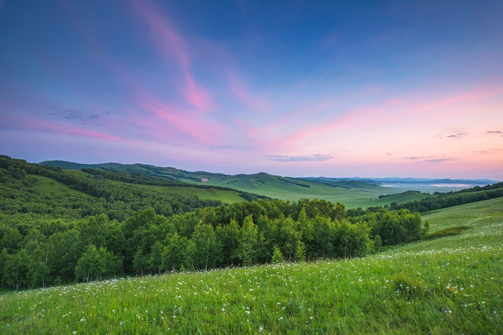 到2022年河北坝上地区要完成造林绿化206万亩