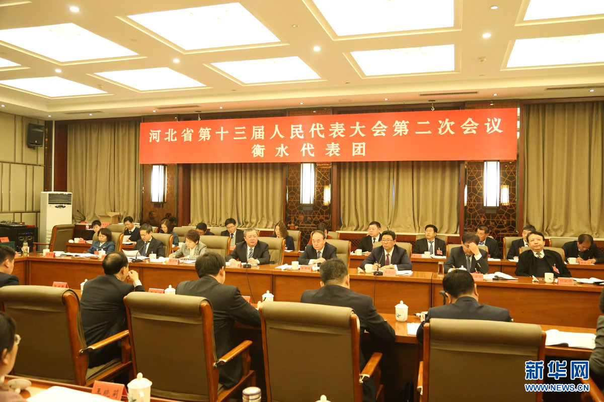 现场直击|河北省人大代表分组审议政府工作报告