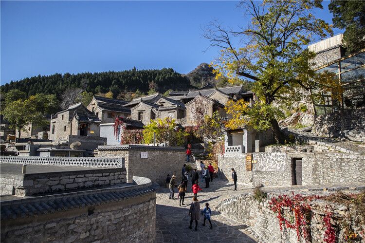 QQ图片20190131184717.jpg