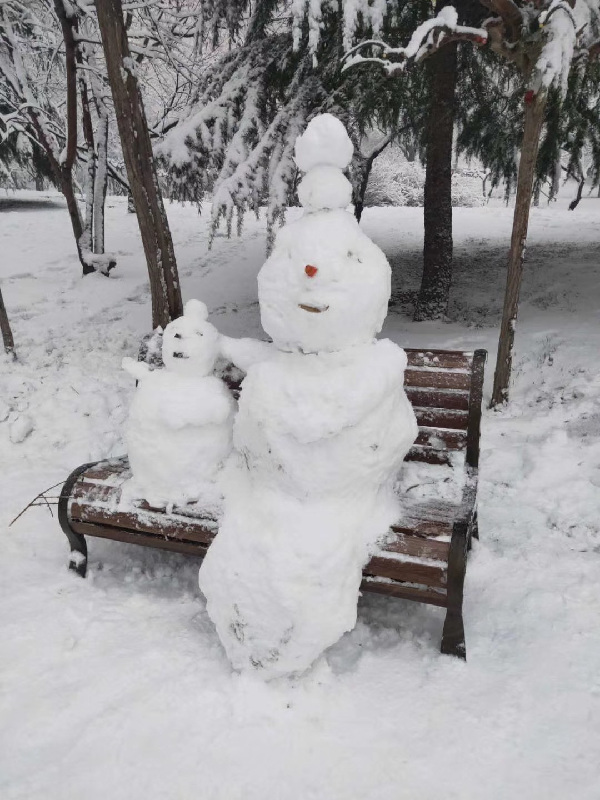 朋友圈堆雪人大赛来了!2020年第一场雪,挺厚!