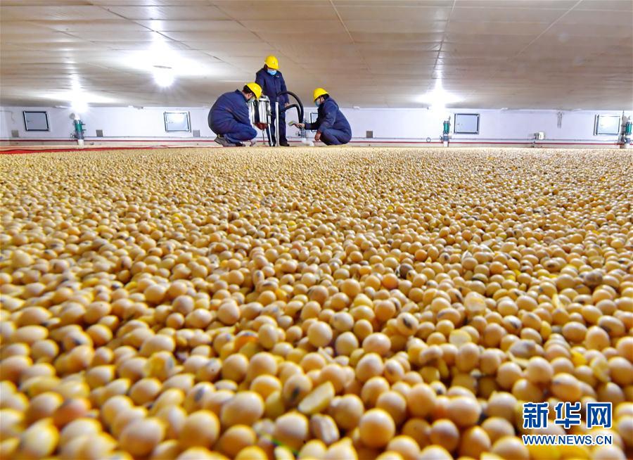 （經濟）（3）河北唐山：有序復工復産