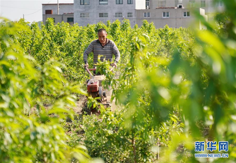 （經濟）（3）河北沙河：發展産業防返貧