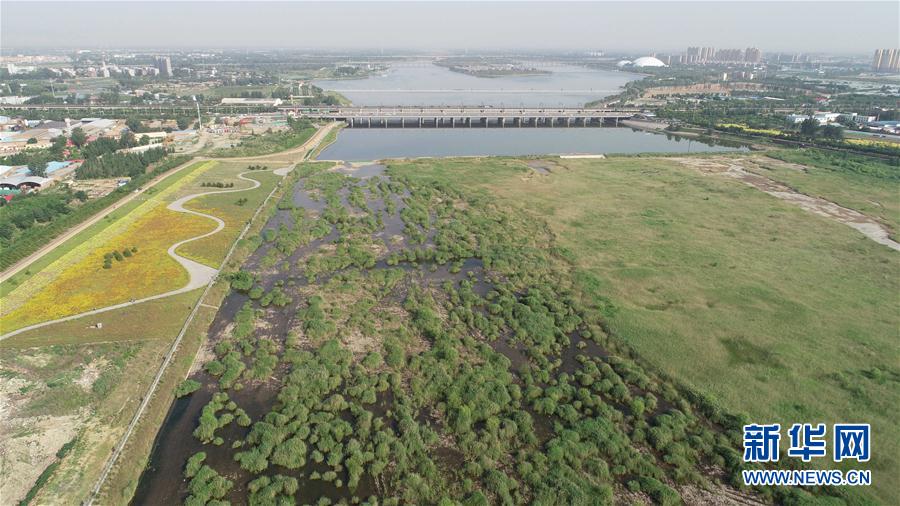 #(环境)(1)河北石家庄:滹沱河两岸建成绿色生态景观长廊