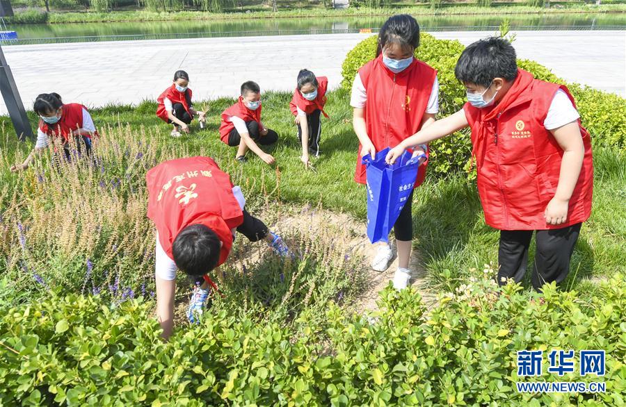 （社会）（2）河北霸州：“大家义起来”志愿服务助力文明创建