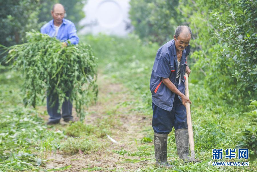 (社会)(1)河北安平:扶贫岗助力就业脱贫