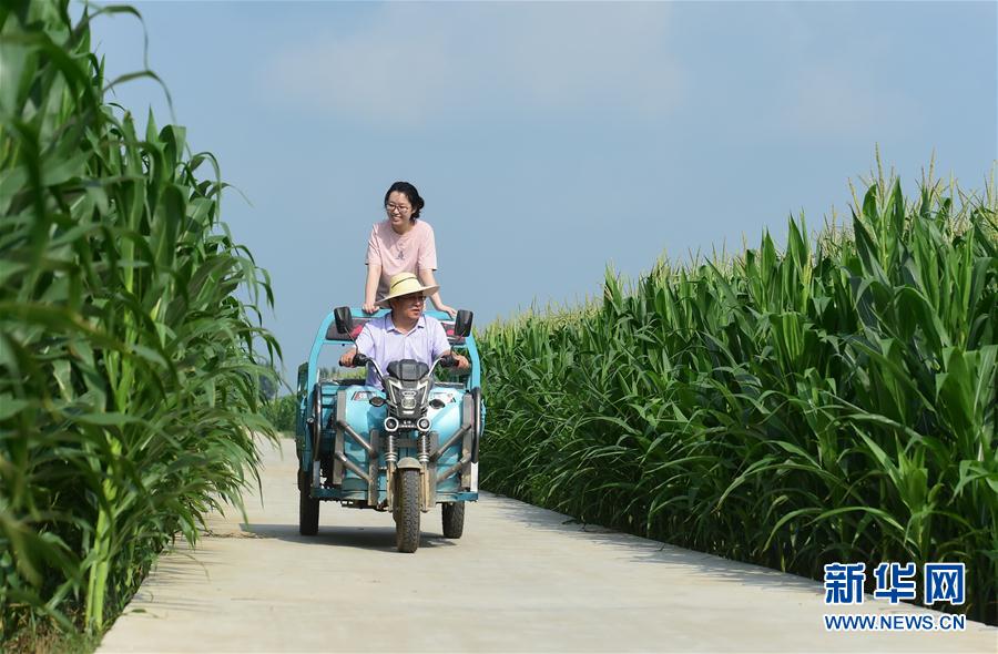 #（特別的暑期生活）（1）暑假，去爸爸的扶貧村