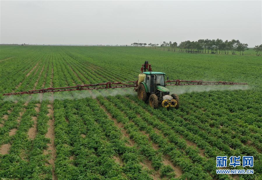 （環境）（1）河北尚義：&ldquo;旱改草水改旱&rdquo;促進壩上生態恢復