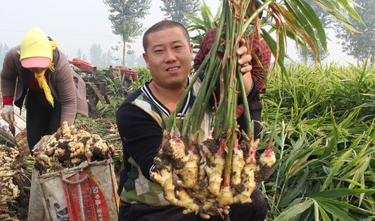 新华网_河北频道_政府网群_河北丰润