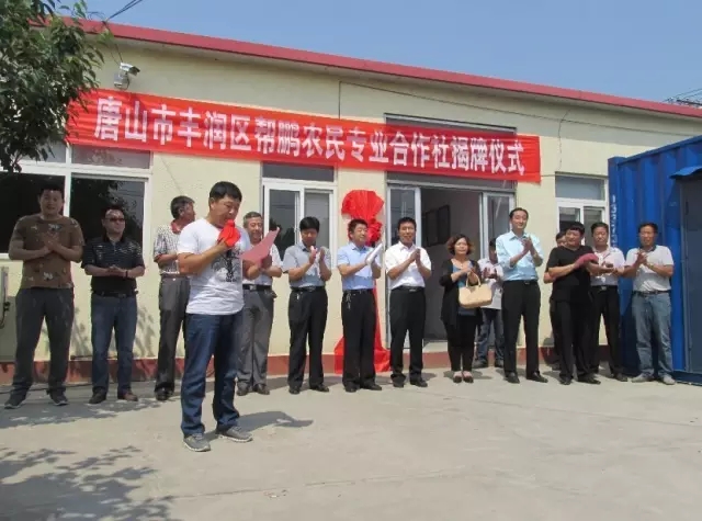 新华网_河北频道_政府网群_河北丰润