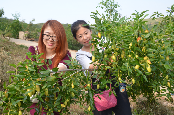 新华网_河北频道_政府网群_河北丰润