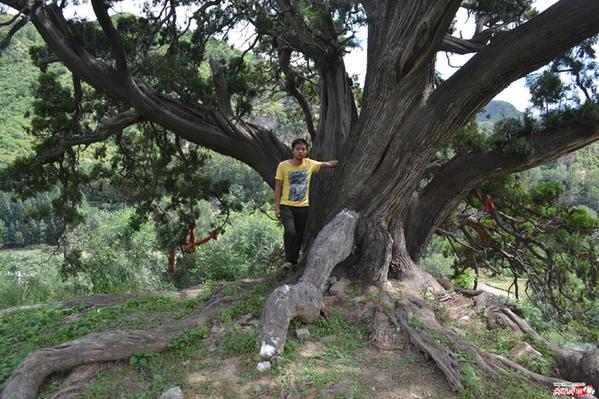 新华网_河北频道_政府网群_河北阜平