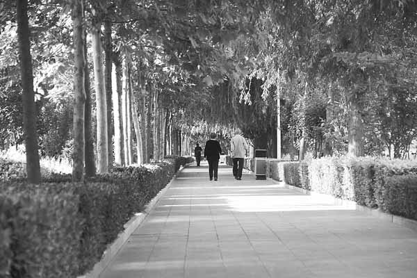 华西村人均收入_幸福三千里 人均(2)