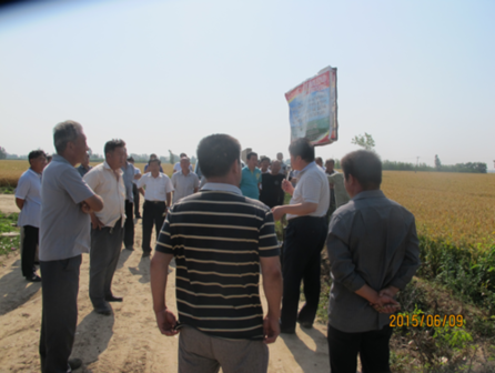 新华网_河北频道_政府网群_孟村回族自治县