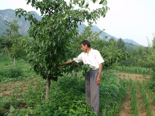 新华网_河北频道_政府网群_河北平泉