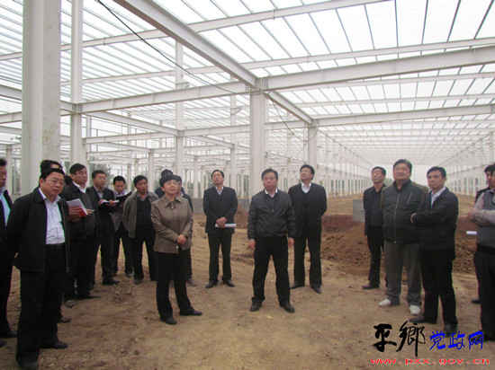县领导现场调度市拟观摩项目_新华网_河北频