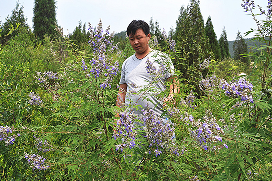 新华网_河北频道_政府网群_河北迁安