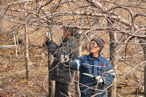 新华网_河北频道_政府网群_河北迁安
