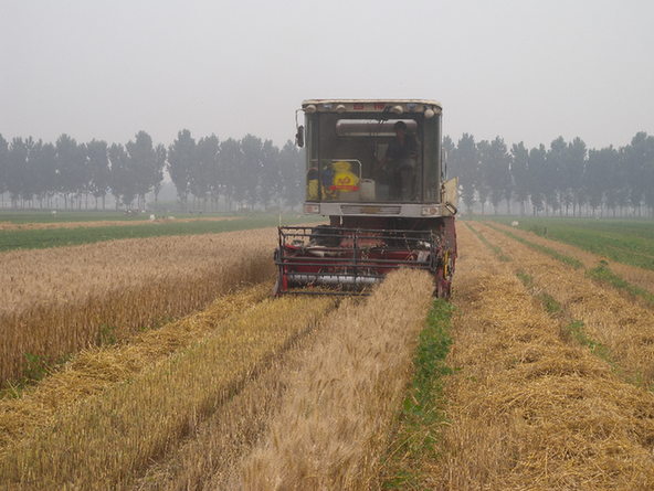 新华网_河北频道_政府网群_河北迁安