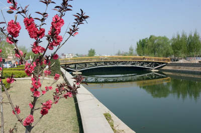 新华网_河北频道_政府网群_曲阳