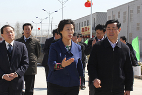 政府网群_顺平县