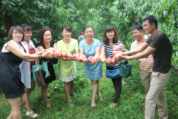 新华网_河北频道_政府网群_顺平县